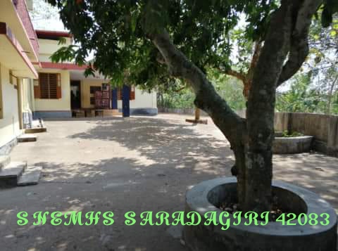 Saradagiri School